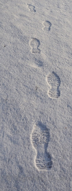 lingonberryhouse, lumijäljet, tracks in the snow, winter, talvi 