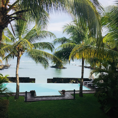 Mauritius Trou aux biche Appartement Bel Azur infinity-pool - webook.ch