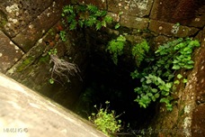 IMG_8329