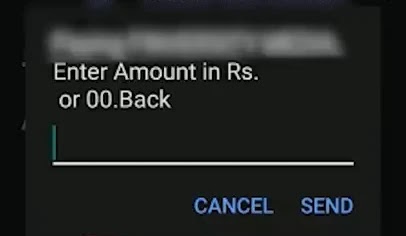 Enter Amount in RS