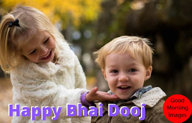 bhai dooj wishes for sister in hindi