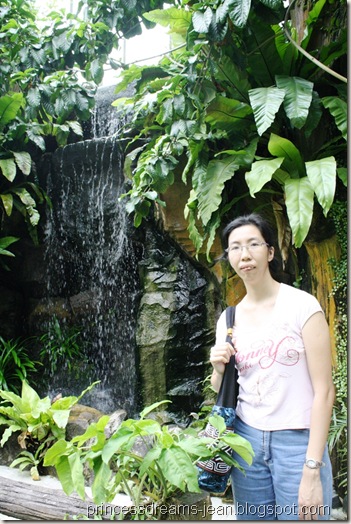 AIMG_6573