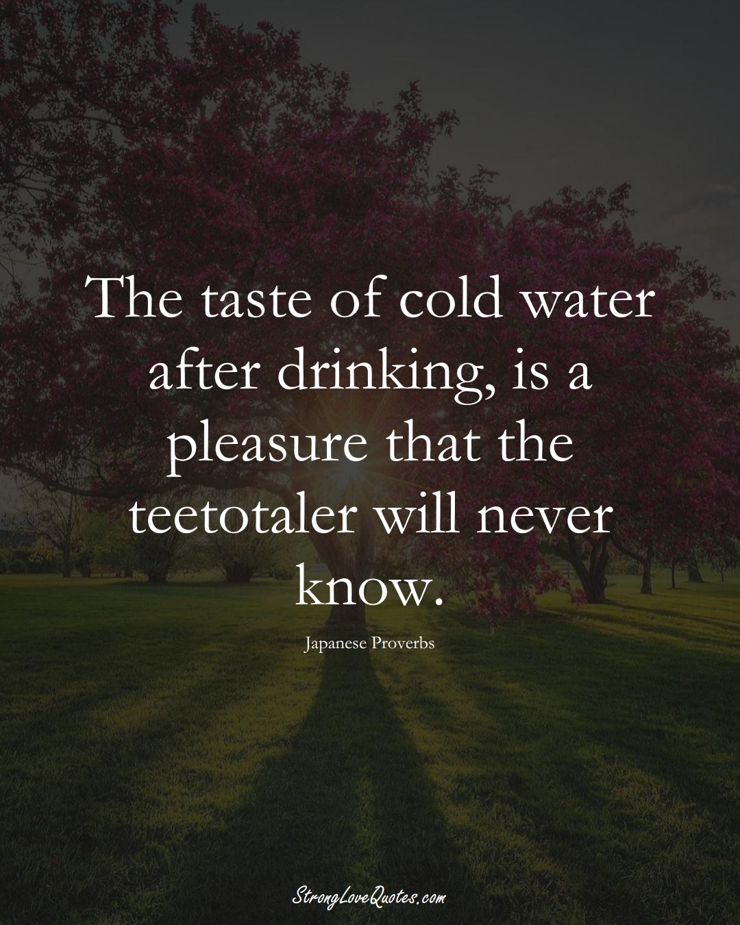 The taste of cold water after drinking, is a pleasure that the teetotaler will never know. (Japanese Sayings);  #AsianSayings