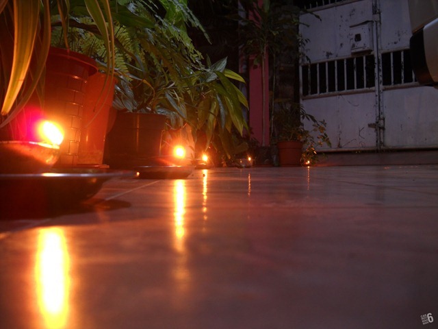 DSCN5649