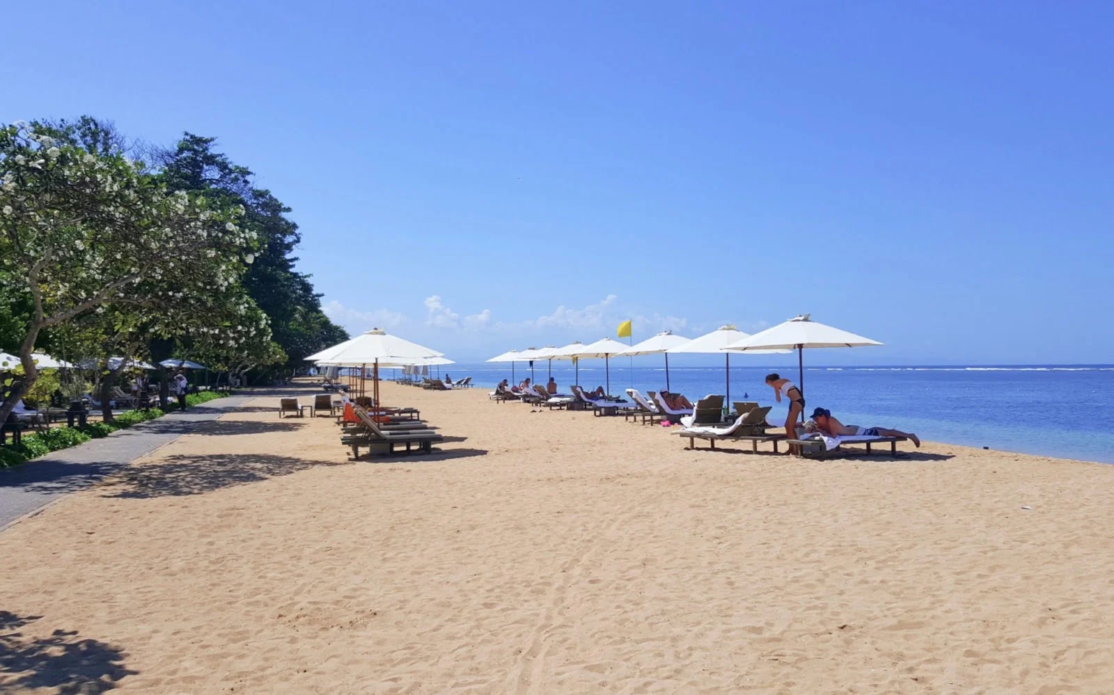 Sanur - The Traveller