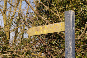 Walking near Burnham Market at Creake Abbey