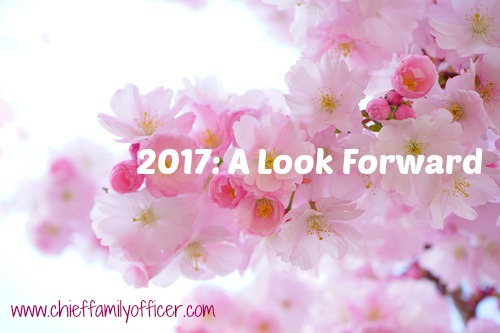 2017: A look forward at Chief Family Officer
