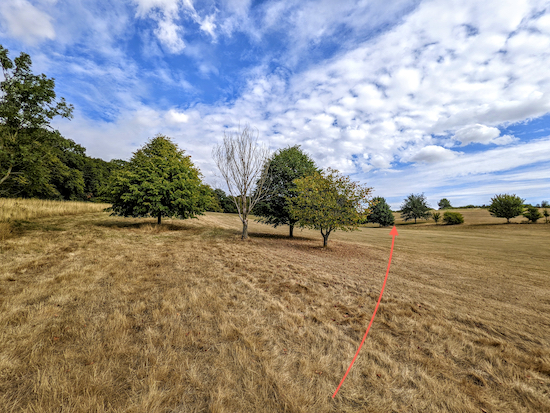 Little Hadham footpath 5 NNE crossing the fairway