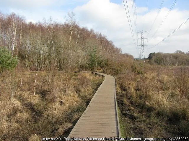 beautiful Wildmoor Heath Nature Reserve