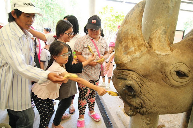 chiang mai night safari, night safari chiang mai, night safari in chiang mai, chiang mai night safari tour, ticket chiang mai night safari