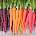  8 công dụng tuyệt vời của cà rốt