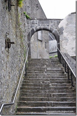 Kilkenny. Catedral de San Canice. Carmen) - DSC_0073