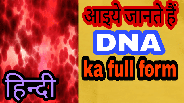 हिंदी मे जाने DNA Full Form in Hindi | DNA Ki Full Form