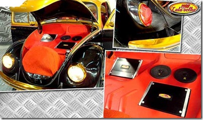 Fusca Darlete (15)