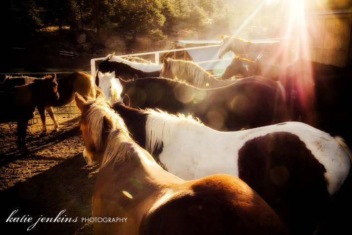 Sombrero Stables Estes Park Colorado