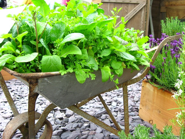 Ideias para deixar o seu jardim lindo gastando quase nada