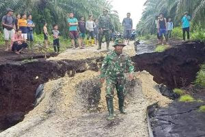 482 Km Pantai di Riau Terdampak Abrasi