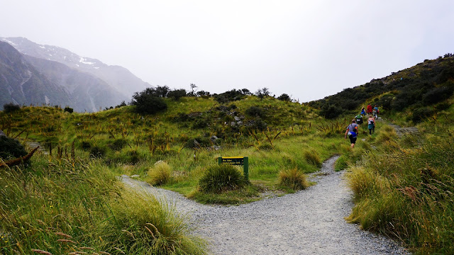 庫克山塔斯曼冰川步道 Tasman Glacier View Track