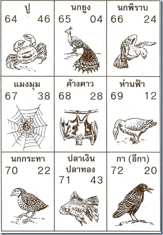 สัตว์ 64-72