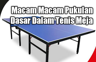 Macam Macam Pukulan Dasar Dalam Tenis Meja