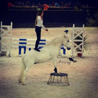 Elisa Laville poney plot liberté