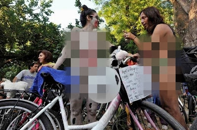 Ajang Bersepeda Telanjang Tahunan, World Naked Bike Ride