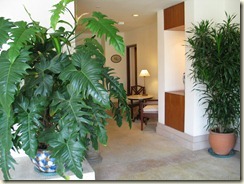 interior_0013