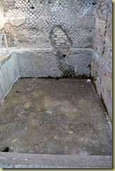 Cold plunge pool-1
