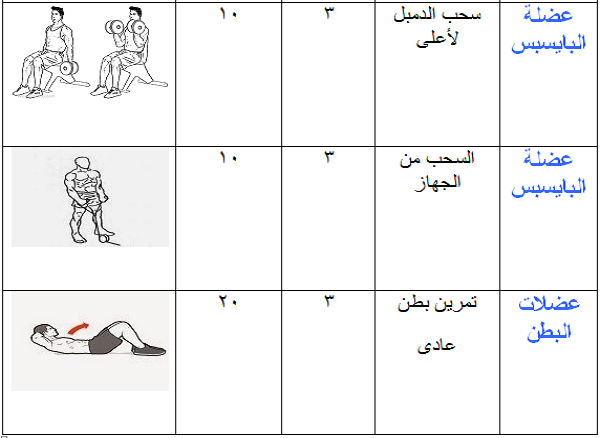 برنامج تدريب جيم للمبتدئين فى 4 أسابيع فقط