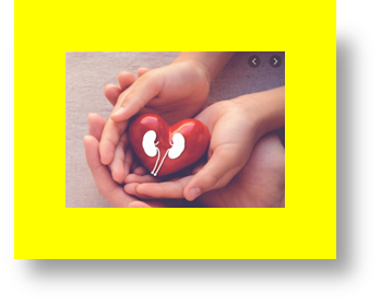 kidney transplant in child why would a child need a kidney transplant can a child survive with one kidney kidney transplant donor child to parent kidney transplant from child to parent kidney transplant in saudi arabia kidney transplant in spanish what age can a baby have a kidney transplant