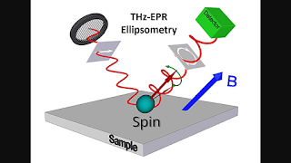 This diagram outlines the principle behind terahertz EPR ellipsometry. A terahertz light beam, polarized in a specific direction, is directed onto the sample surface. When exposed to a strong magnetic field, the unpaired spins within the material precess, interacting with the magnetic component of the incoming light. The frequency-dependent interaction sheds light on the material’s static (DC) response to an applied magnetic field through the use of the magnetic LST. Credit: Rindert et al.