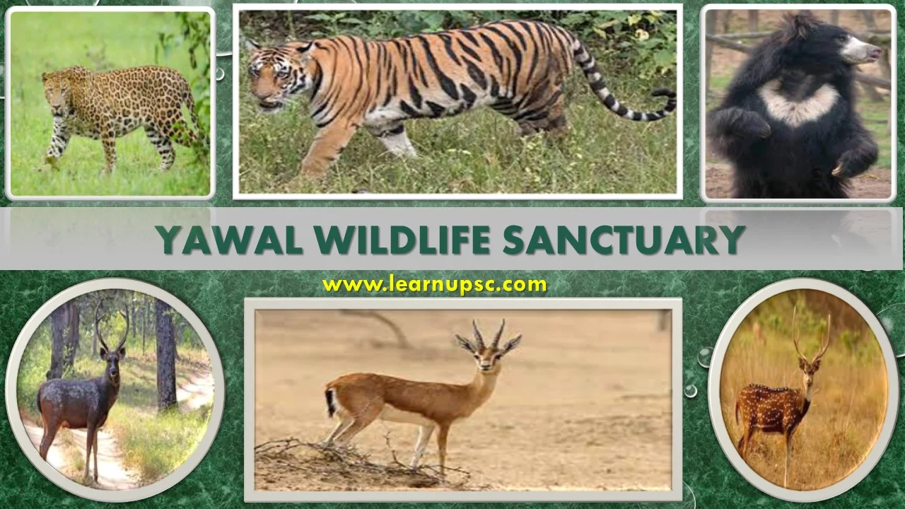 Yawal Wildlife Sanctuary