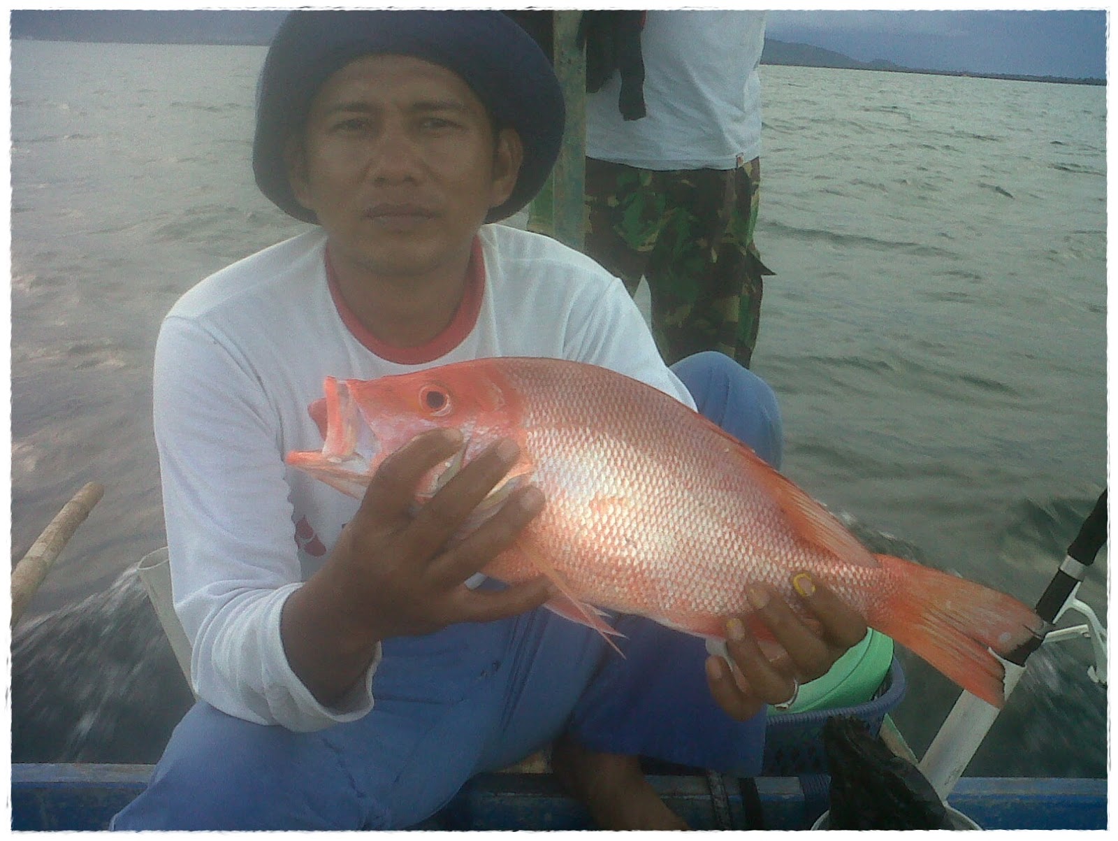  Gambar  Ikan Kakap Dunia Binatang