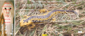 http://www.ceiploreto.es/sugerencias/juntadeandalucia/la_tierra/vertebrados/indexvertebrados.html