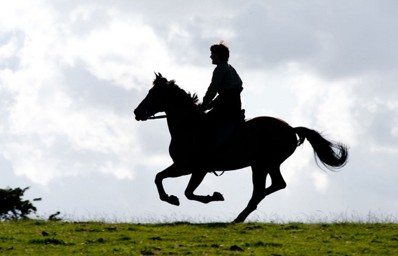 War Horse, Photograph