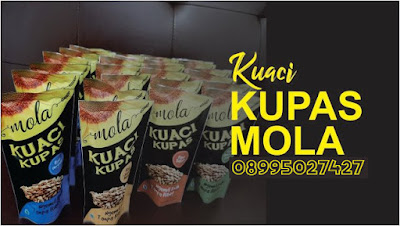 kuaci kupas, kuaci kupas jogja, agen kuaci kupas jogja, kuaci kupas mola, kuaci kupas rasa balado, kuaci kupas rasa jagung manis, kuaci kupas rasa rumput laut