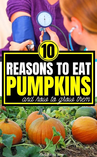10 Reasons To Eat Pumpkins And How To Grow Them At Home