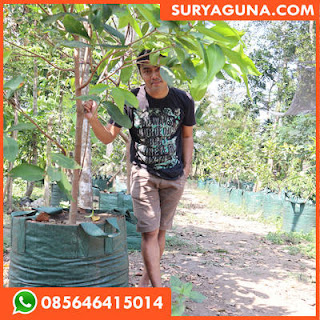 planter bag dari suryaguna 085646415014