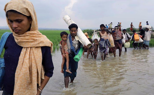 Kisah Pengungsi Rohingya yang Berjalan Kaki 175 KM dan Hanya Makan Daun