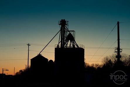 IMG_2481