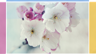 Multi Hover Effect On Blogger Images Using Pure CSS