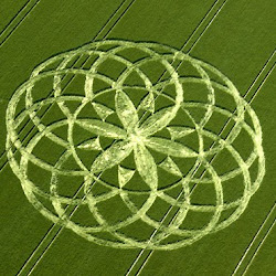 gambar crop circle, foto crop circle, alien, ufo, lingkaran tanaman, www.digaleri.com