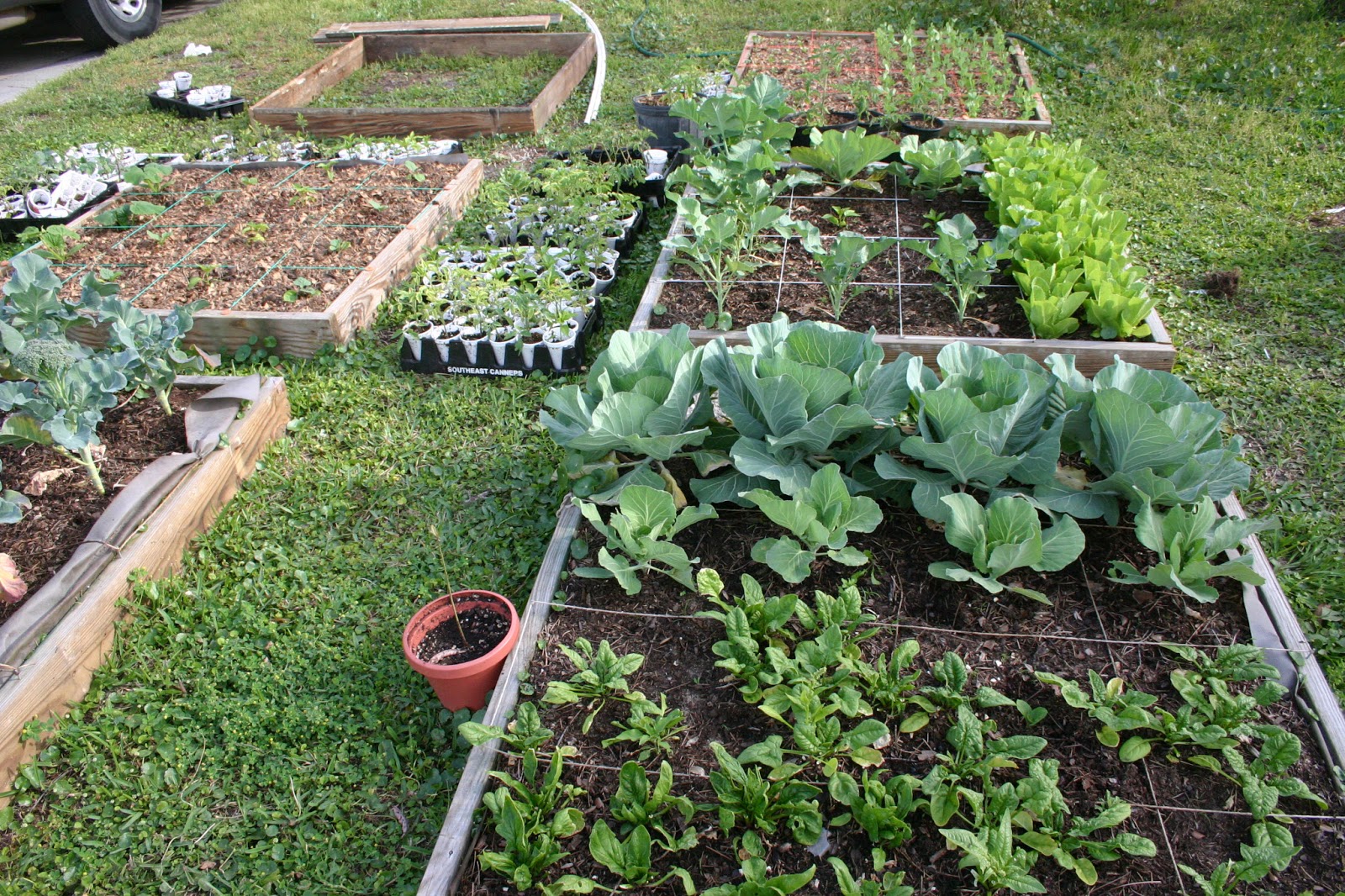 Homestead Life: How To Build a Square Foot Garden