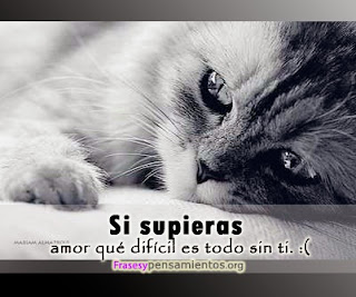 Imagenes tristes de amor con frases