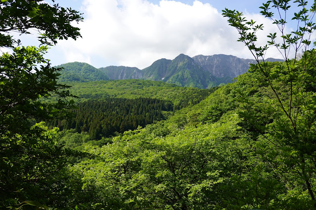 鳥取県西伯郡大山町豊房　香取の山道からの眺め　大休峠