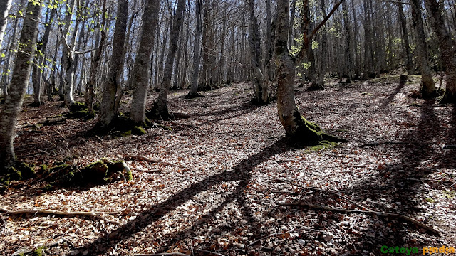 Ruta circular al pico Aitxuri o Aitzgurri, techo de Guipúzcoa en el País Vasco