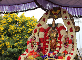 Karthigai,Ammavasya,Purappadu,2016, Video, Divya Prabhandam,Triplicane,Thiruvallikeni,Utsavam,