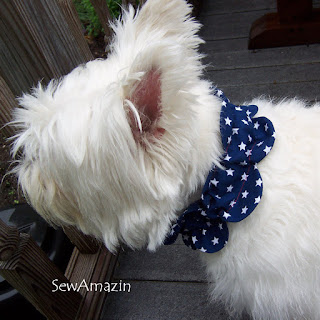 Patriotic Pup Dog Collar Slipcovers