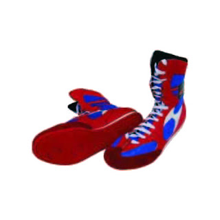 USI Boxing Boots