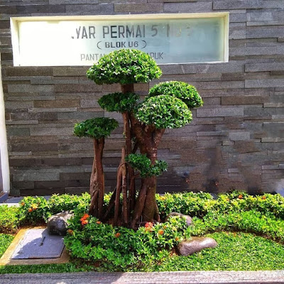 garden style-jasa taman